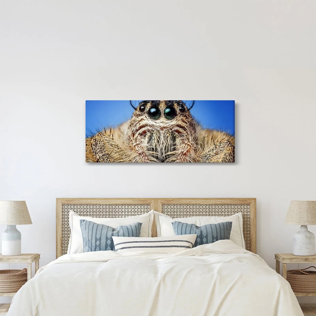 A pók részletének képe (120x50 cm)