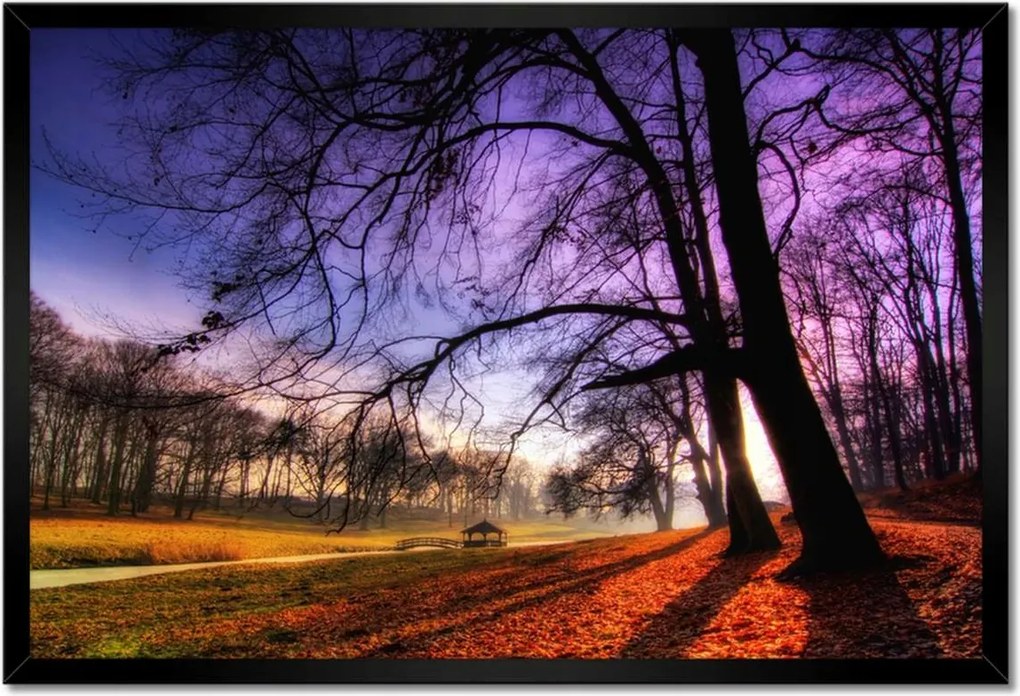 Poszterek keretben 60x40 Bajusz park