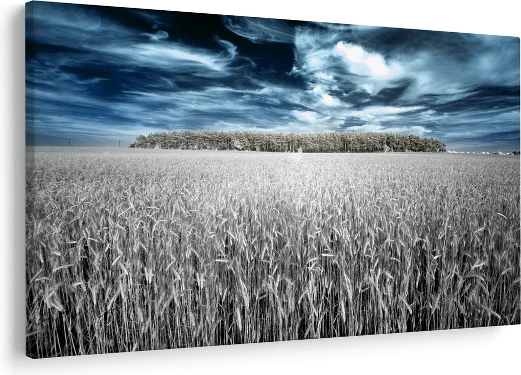 A mező képe (90x60 cm)
