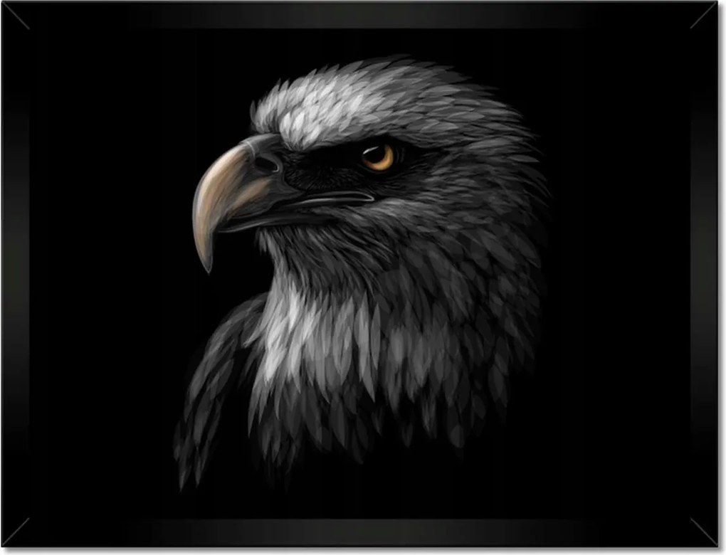 Poszter keretben 40x30 Sas Fehér madár sas
