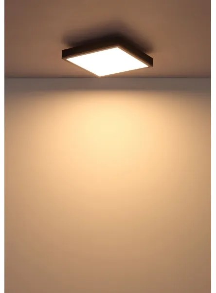 Globo 416080AD1 - LED Mennyezeti lámpa DORO LED/12W/230V 3000K 30x30 cm