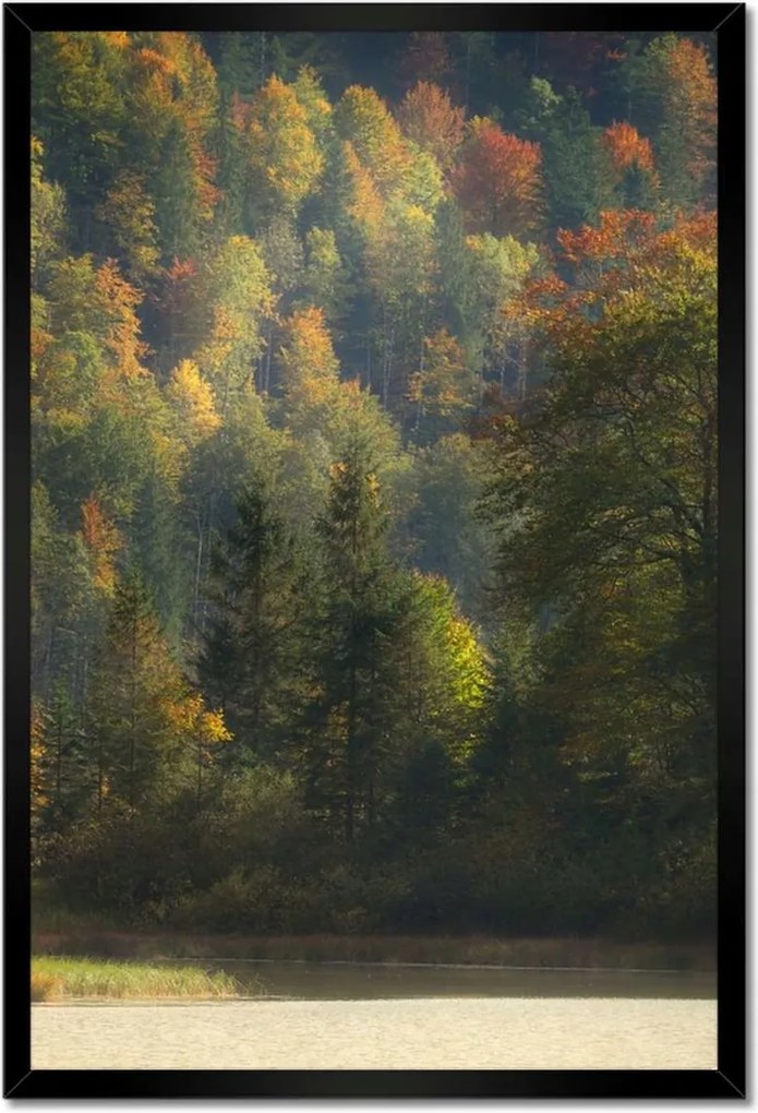 Poszterek keretben 40x60 Erdei táj Kilátás