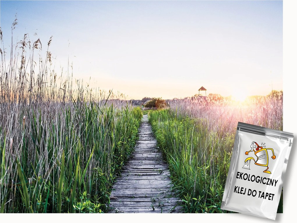 Fotótapéta Flizelina Tájkép Bozót Fű Ösvény 350x250 ragasztó
