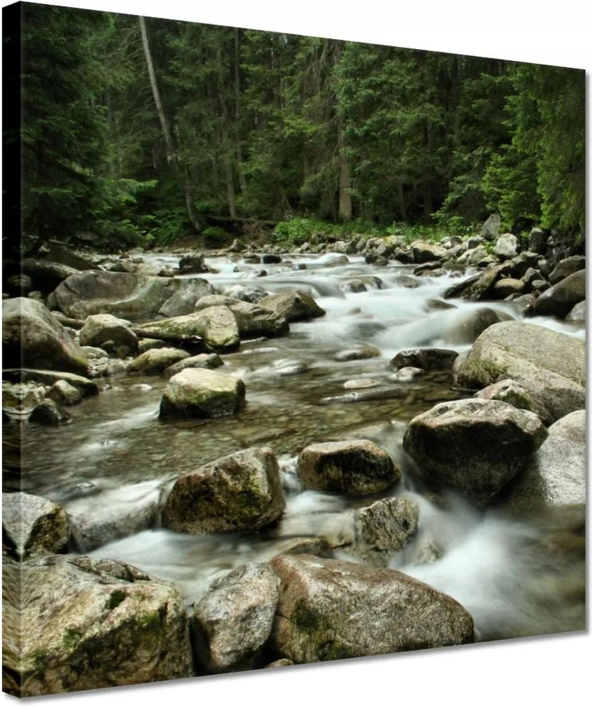 Vászonkép 30x30 Tátra Lengyel hegyek Kilátás