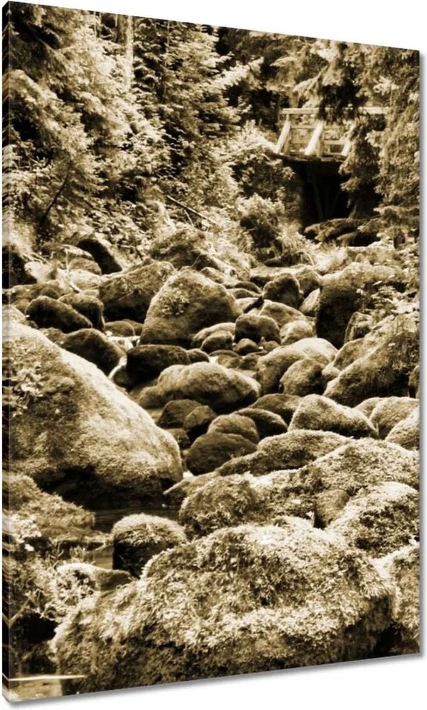 Vászonkép 70x100 Tátra Lengyel hegyek Kilátás