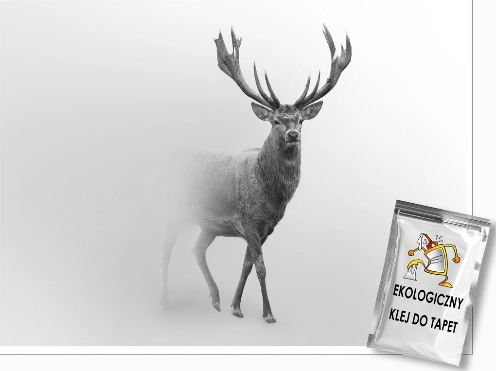 Fotótapéta Szarvas Állatok Köd Hálószoba Nappali Fali Tapéta 150x105