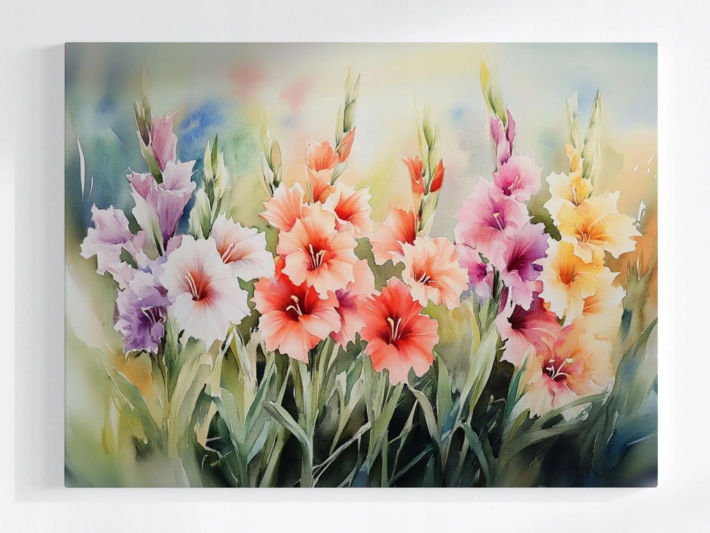 Vászonkép Canvas Természet Kert Rét Virágok Gladiole Kardok 100x75
