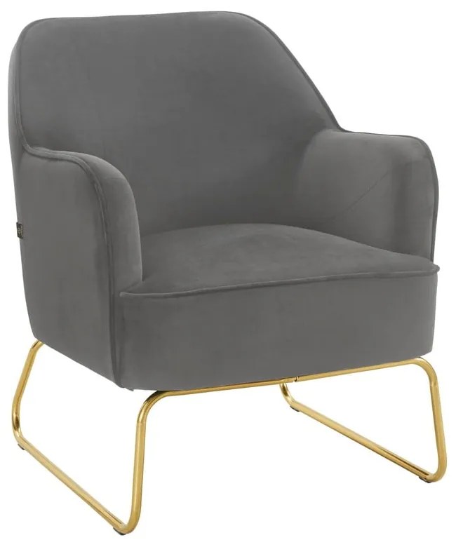 Szürke bársony fotel Joshua - Støraa