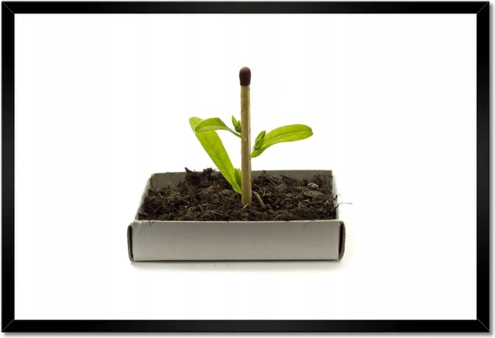 Poszterek keretben 60x40 Zöld erő