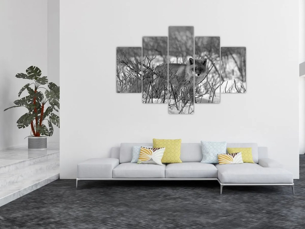 Kép - Róka télen (150x105 cm)