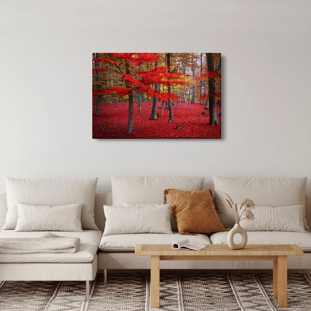 Kép - vörös erdő (90x60 cm)