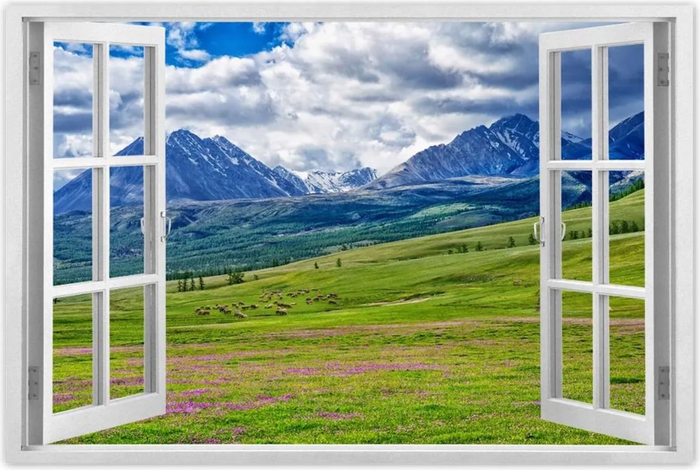 Poszterek 60x40 Juh legeltetés Bárányok