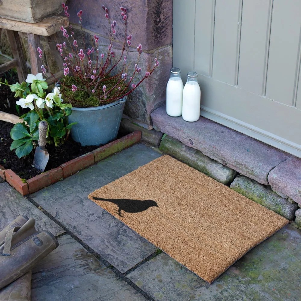Kókuszrost lábtörlő 40x60 cm Bird – Artsy Doormats