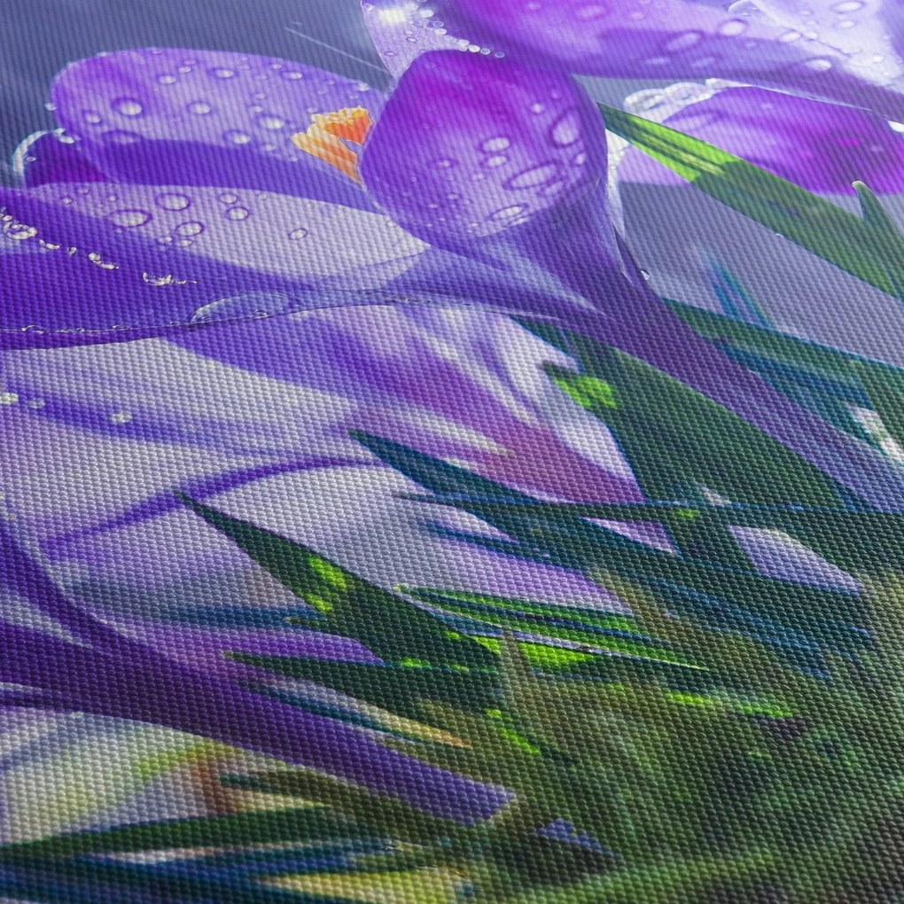 Virágok az esőben képe (120x50 cm)