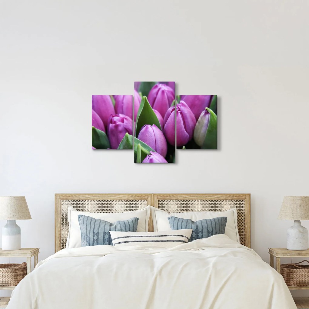 Kép - tulipánok (90x60 cm)