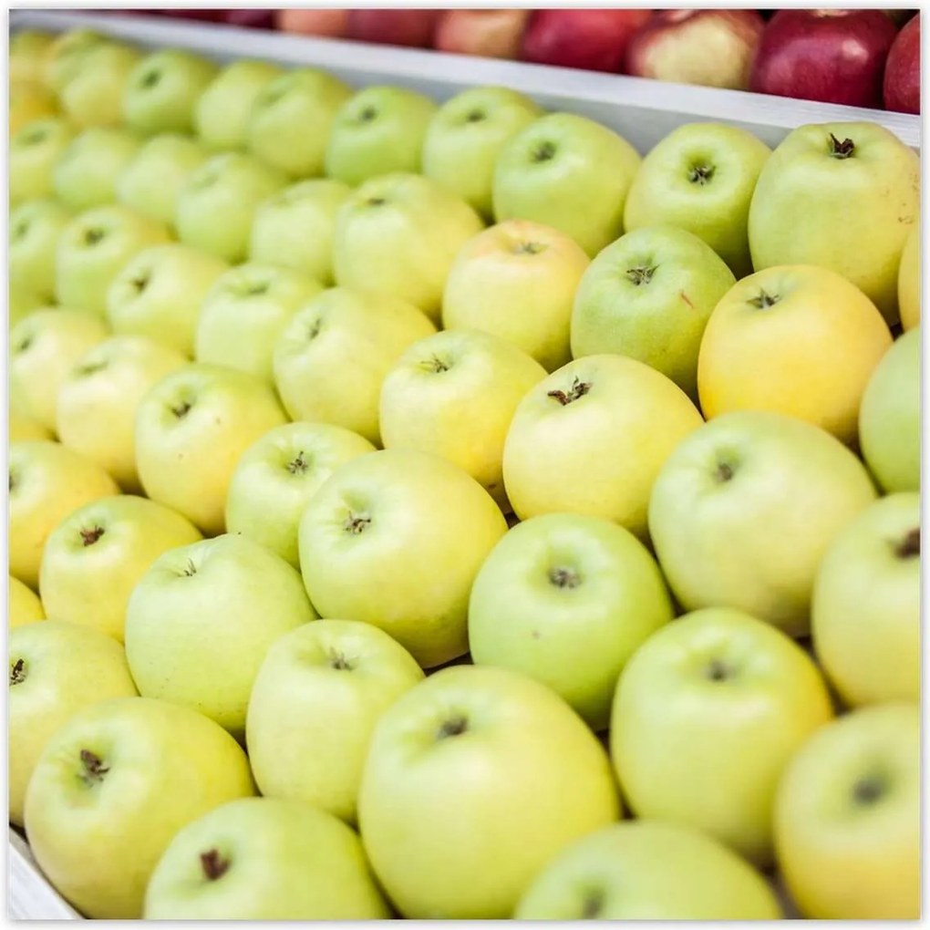 Poszterek 100x100 Piros alma