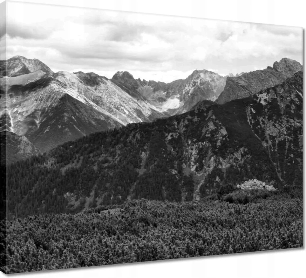 Vászonkép 50x40 Tátra Lengyel hegyek Kilátás