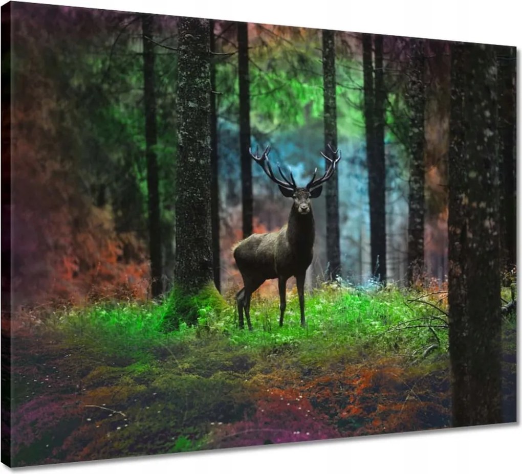 Vászonkép 50x40 Szarvas a mesés erdőben