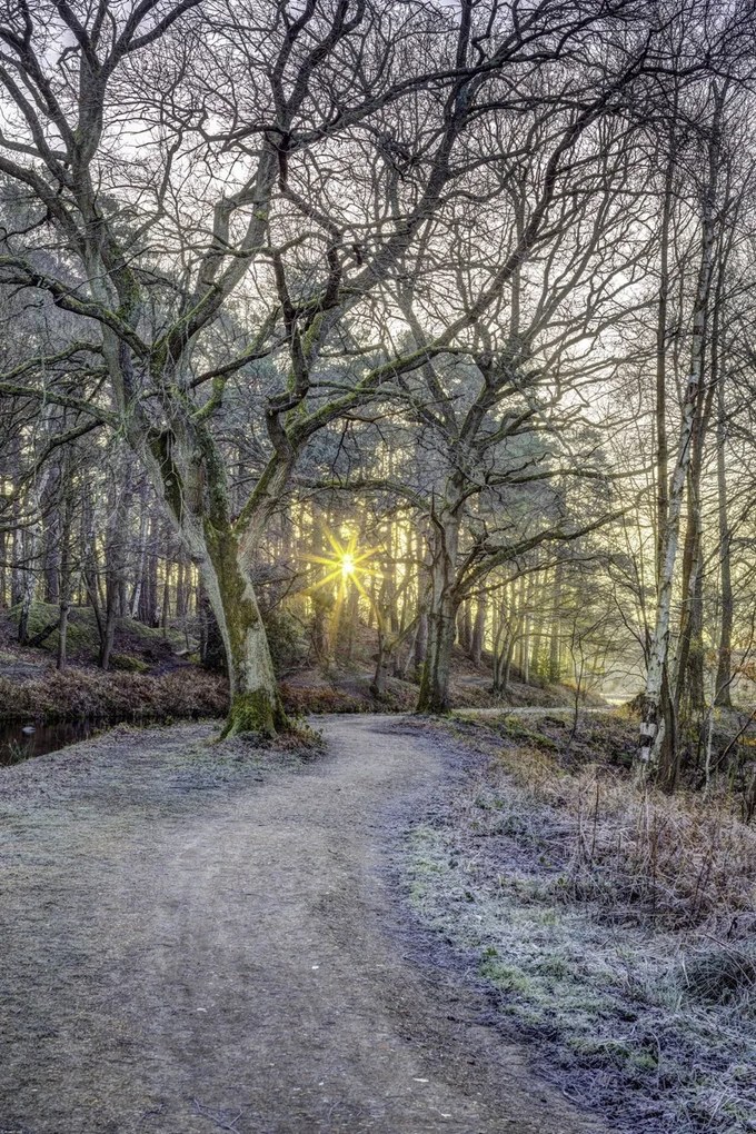 Poszter 61x91,5cm Vidéki csatorna fákkal és ösvényrel, Assaf Frank