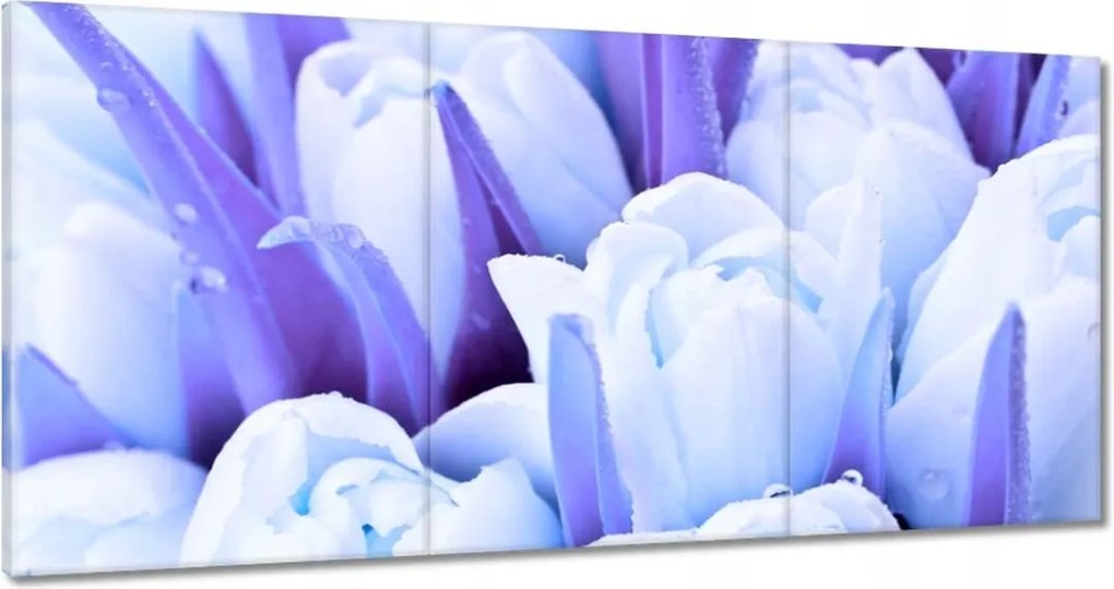 Vászonkép 180x90 Kék tulipánok