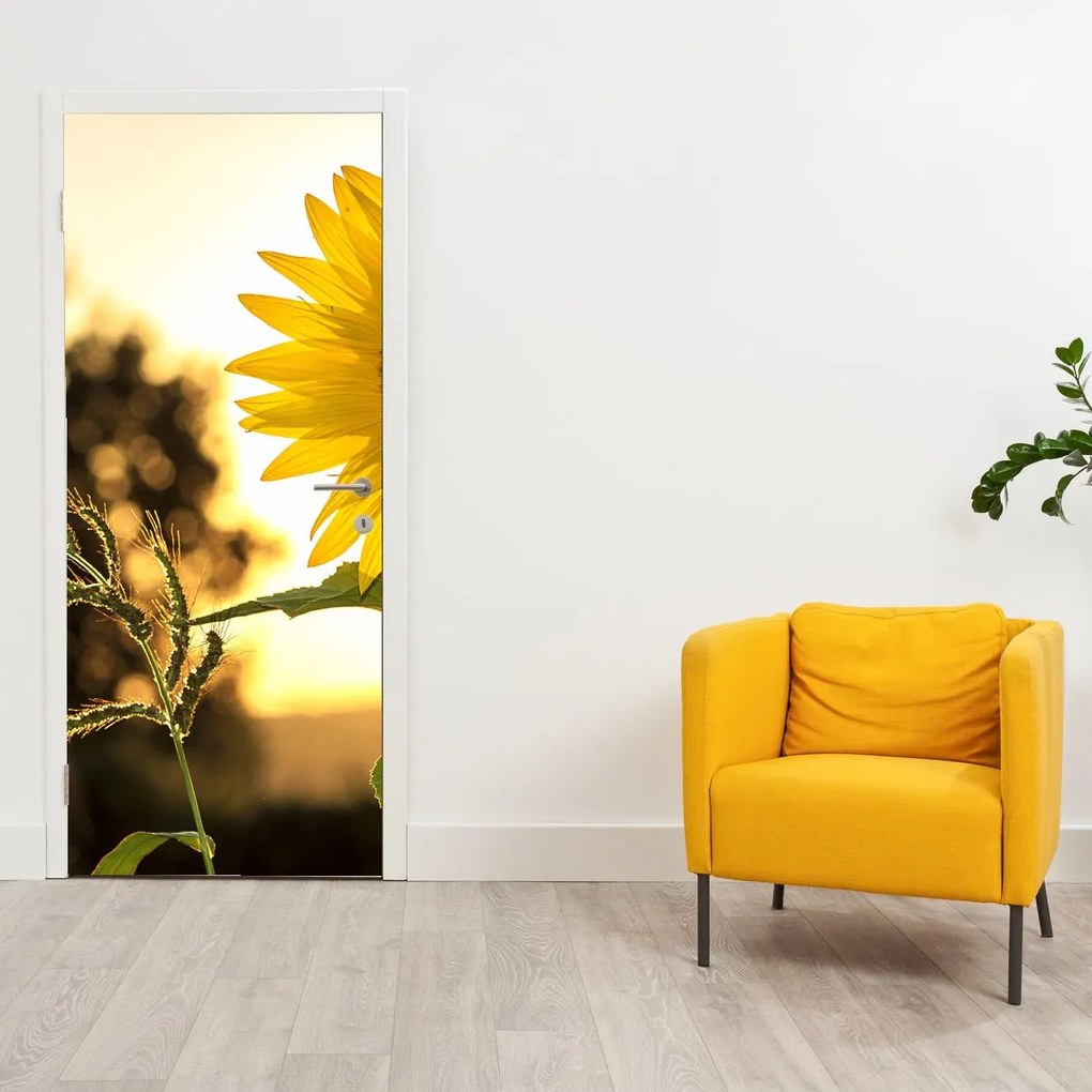 Fotótapéta ajtóra - Napraforgó (95x205cm)