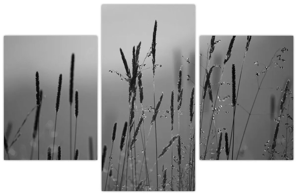 Kép - Fűszálak (90x60 cm)