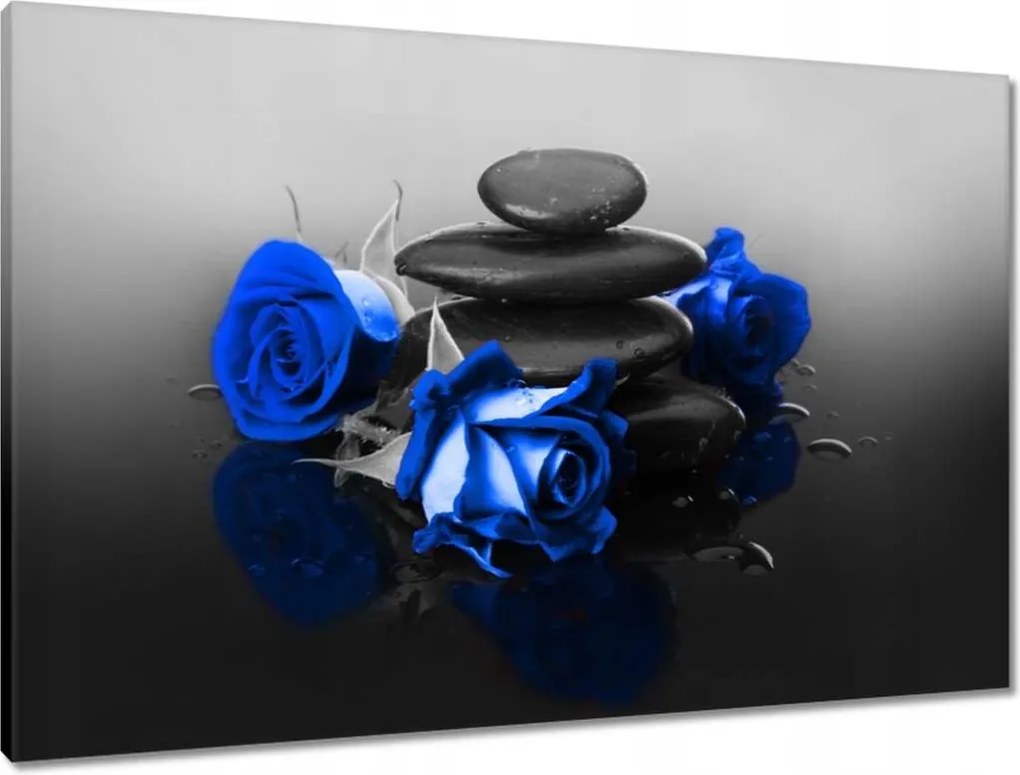 Vászonkép 90x60 Tintarózsa Spa