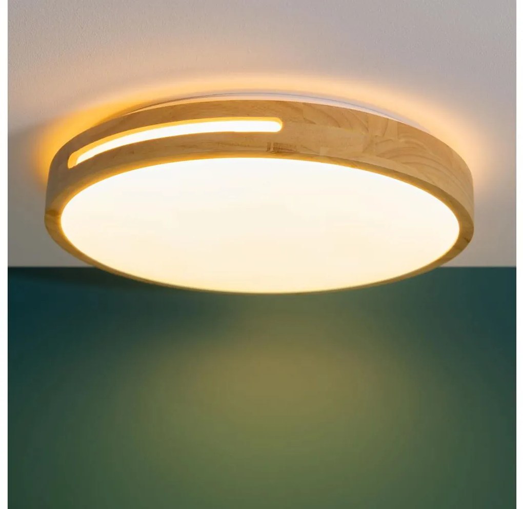 Brilliant - LED Dimmelhető mennyezeti lámpa WOODBURY LED/24W/230V átm. 39 cm