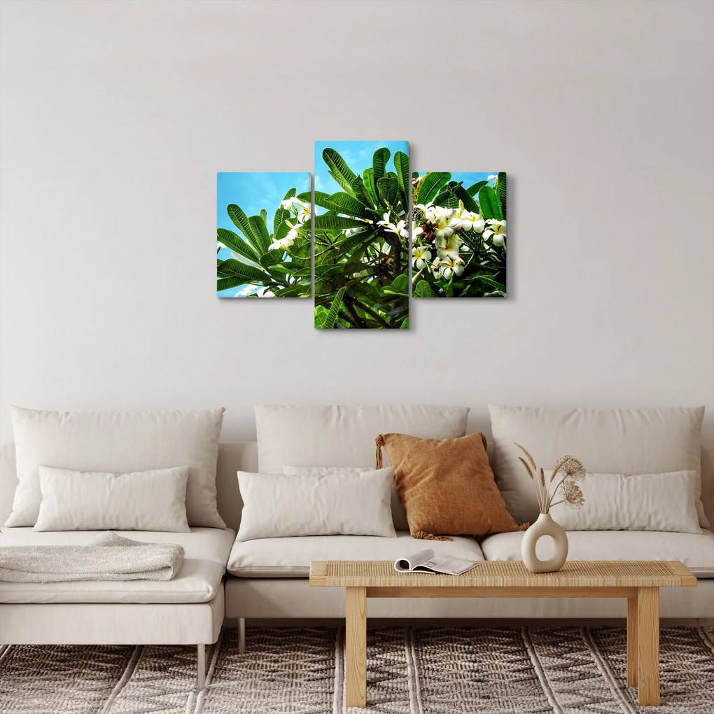 Kép - Plumeria (90x60 cm)