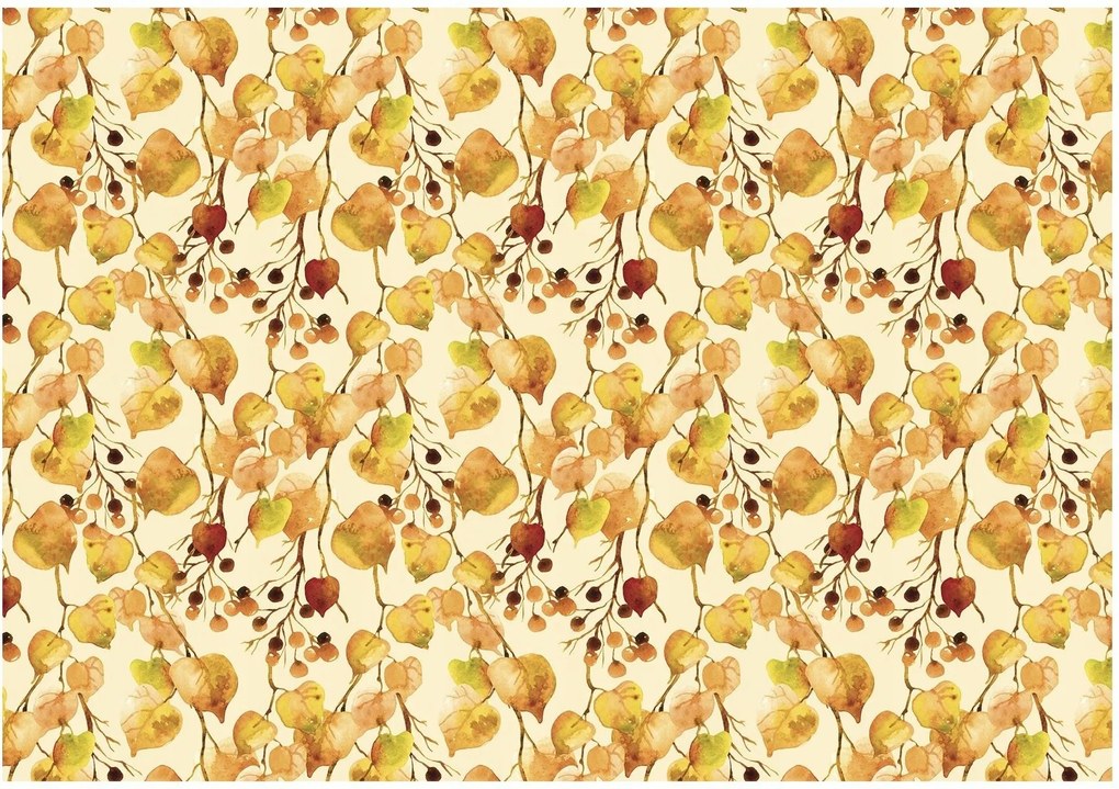 Fotótapéta színes levelek fotótapéta 208 x 146