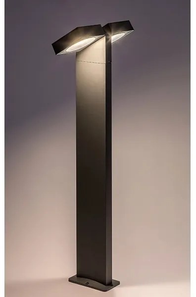 Rabalux 77102 - LED Kültéri lámpa TELDE 2xLED/7W/230V IP54 antracit
