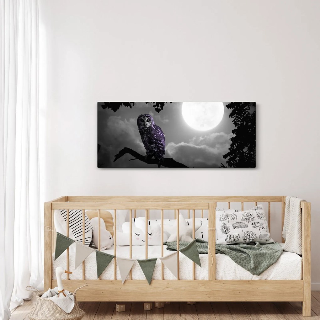 Kép - Éjjeli bagoly, lila bagoly (120x50 cm)