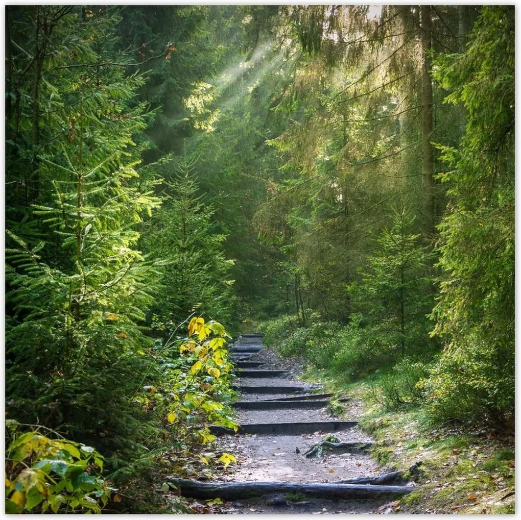 Poszterek 70x70 Tájkép