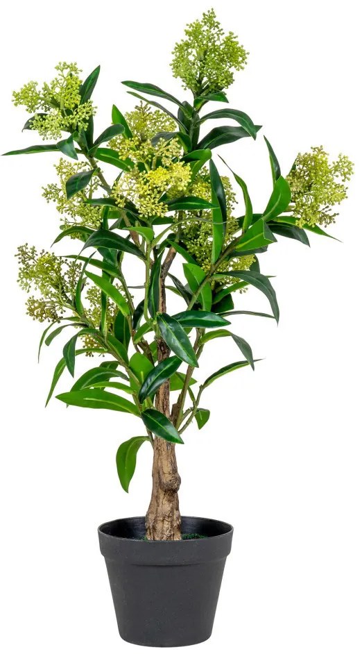 Skimmia fa műnövény 75 cm