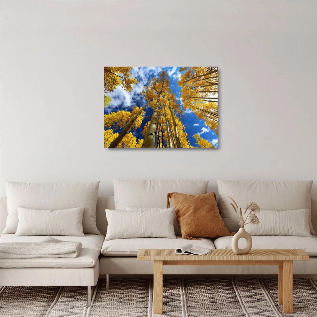 Üveg kép - Aspen (70x50 cm)