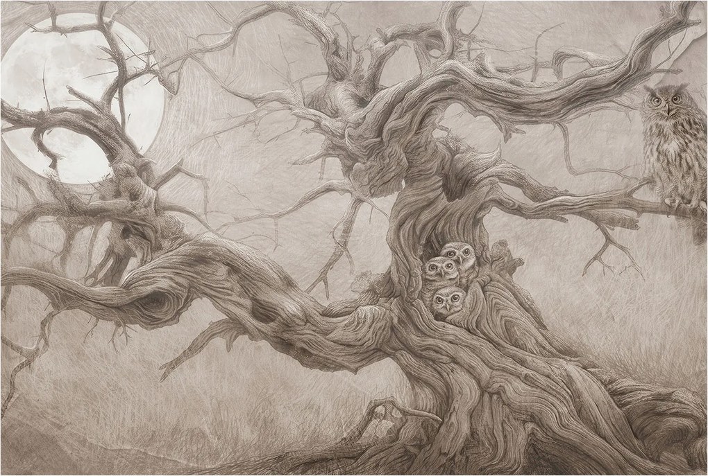 Flizelina fotótapéta Nappaliba és Hálószobába Éjszakai madarak 104x70 Ragasztó