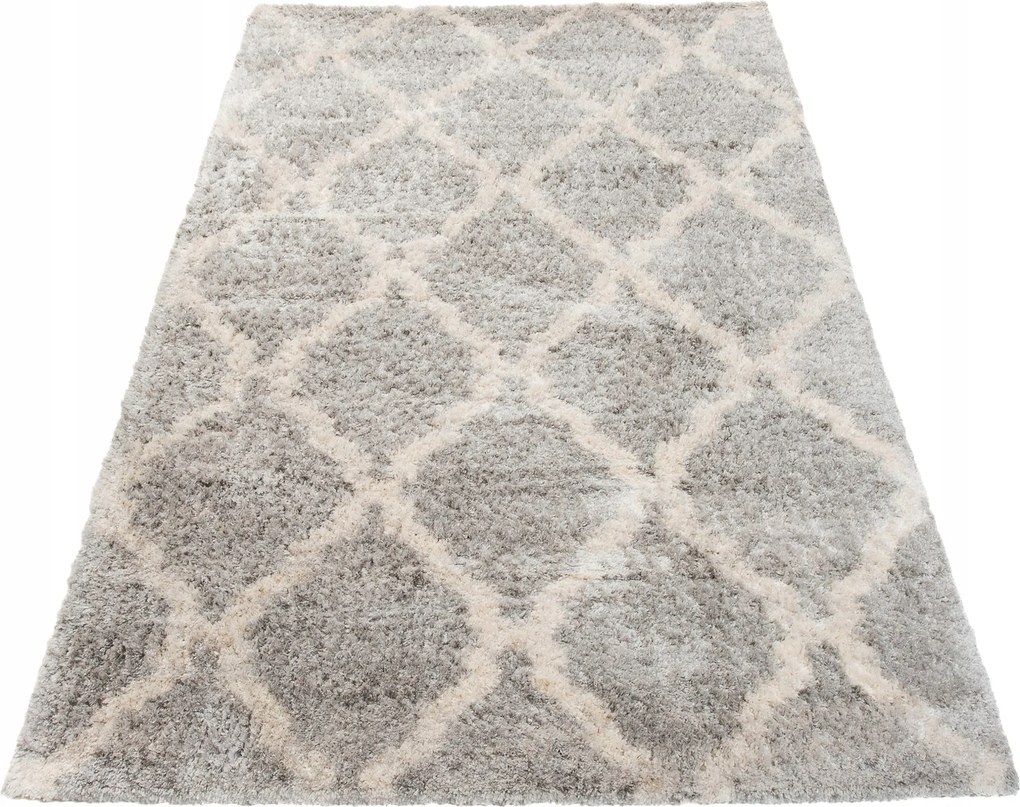 Shaggy Szőnyeg 120x170 Modern Puha Szőrös 37