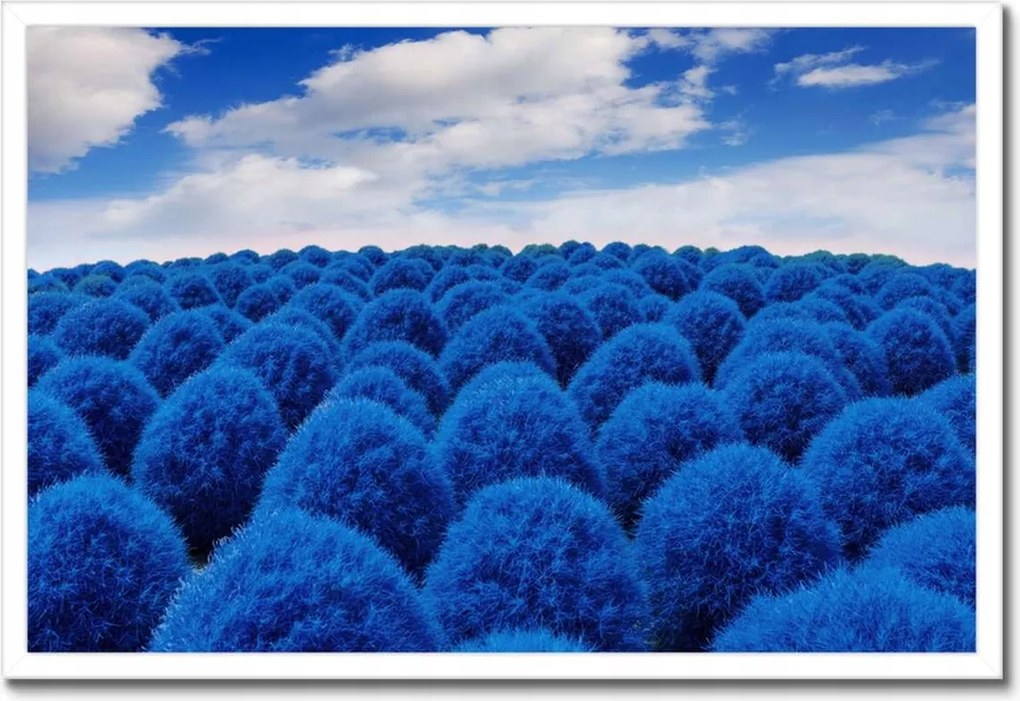 Poszterek keretben 60x40 Klasszikus kék színben