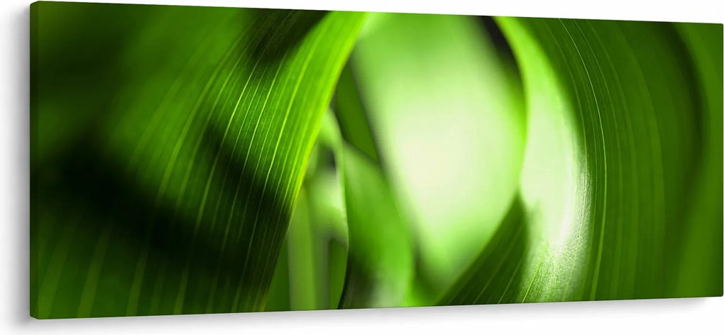 Kép - Egy fűszál (120x50 cm)