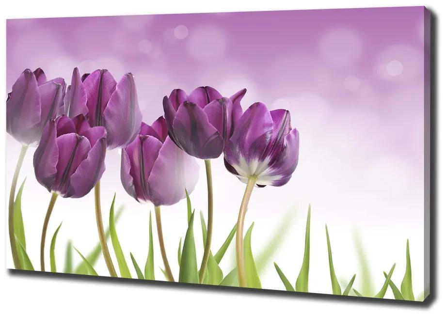 Egyedi vászonkép Filé tulipán pl-oc-100x70-f-52340543