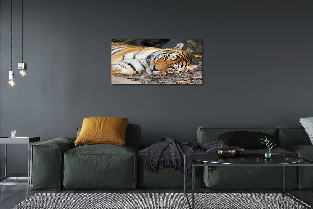 Canvas képek fekvő tigris 100x50 cm