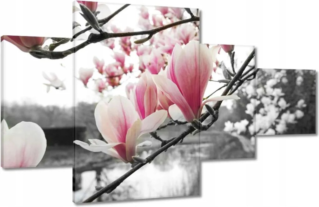 Vászonkép 130x80 Magnólia Virágok