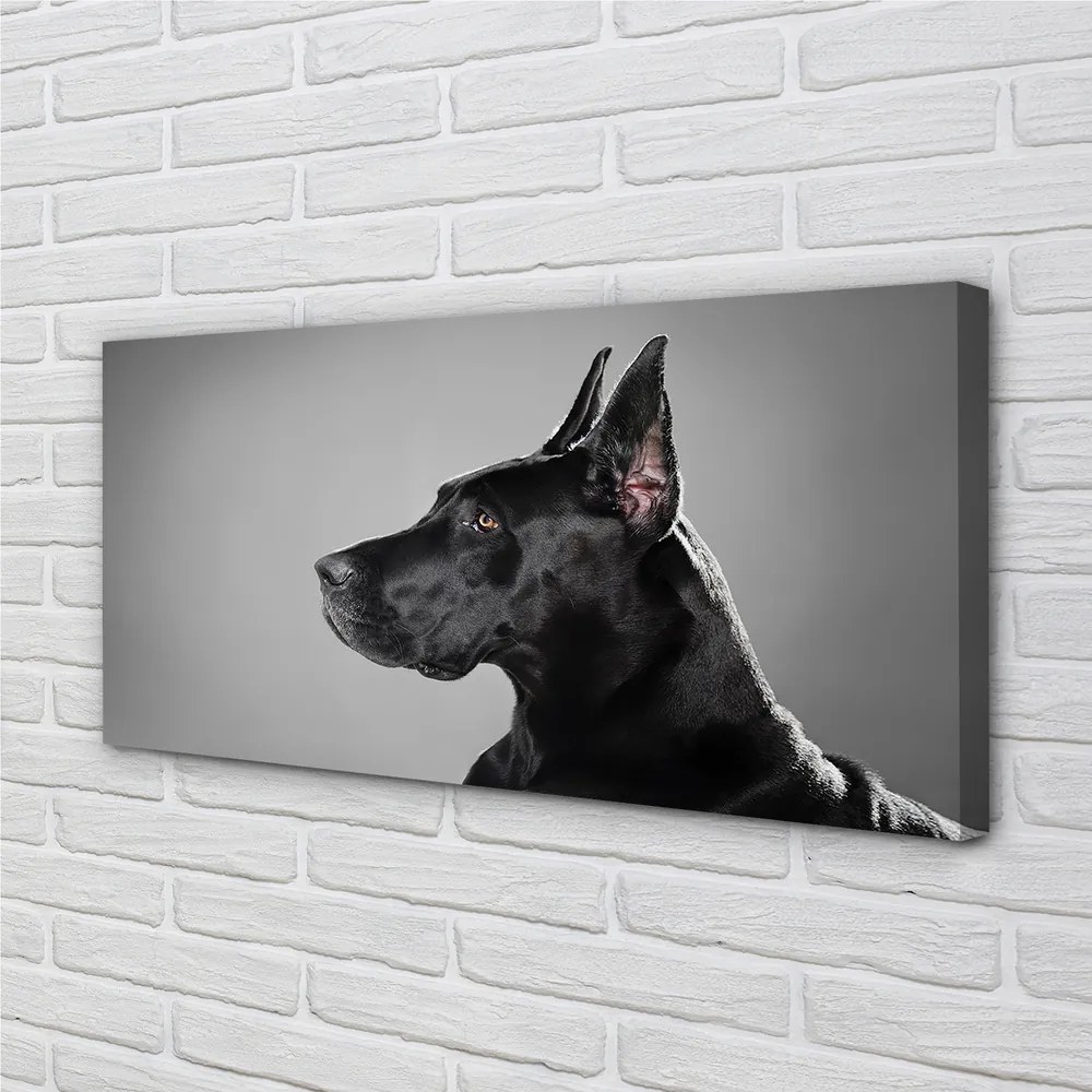 Canvas képek Fekete kutya 125x50 cm