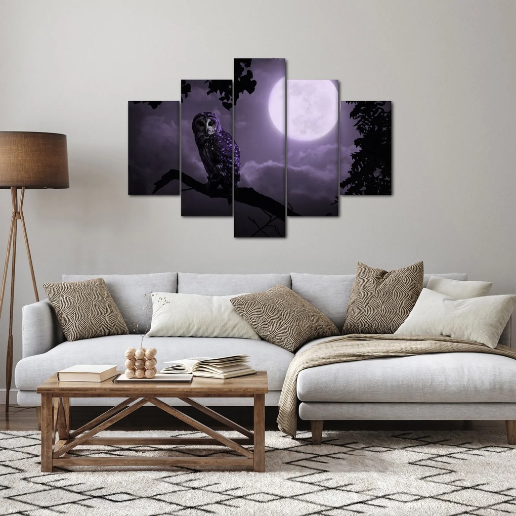 Kép - Éjjeli bagoly, lila (150x105 cm)
