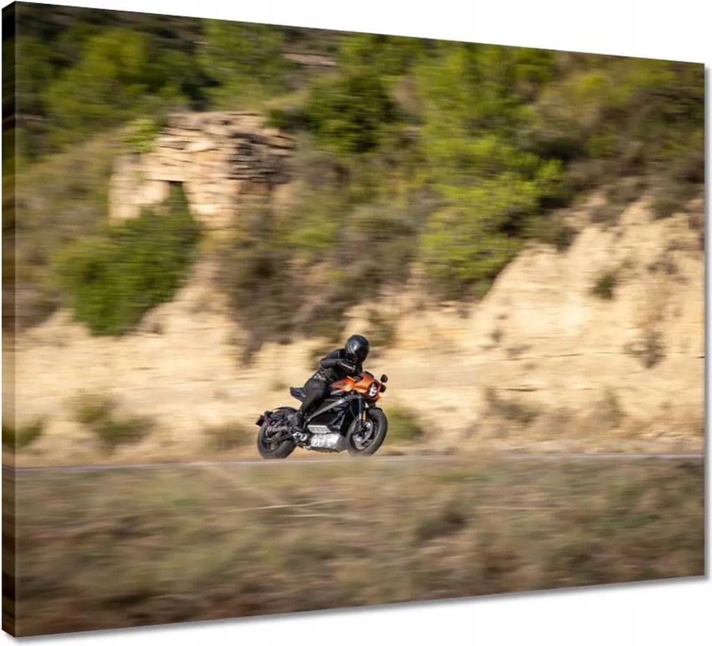 Vászonkép 50x40 Harley Davidson Motorkerékpár