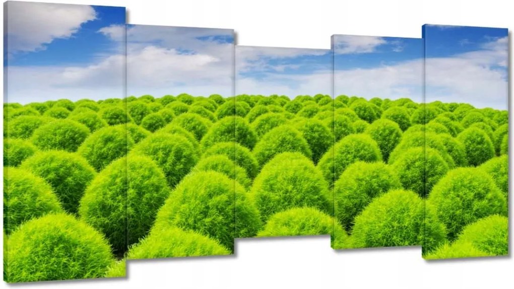 Vászonkép 150x80 Zöld tekintet Völgy