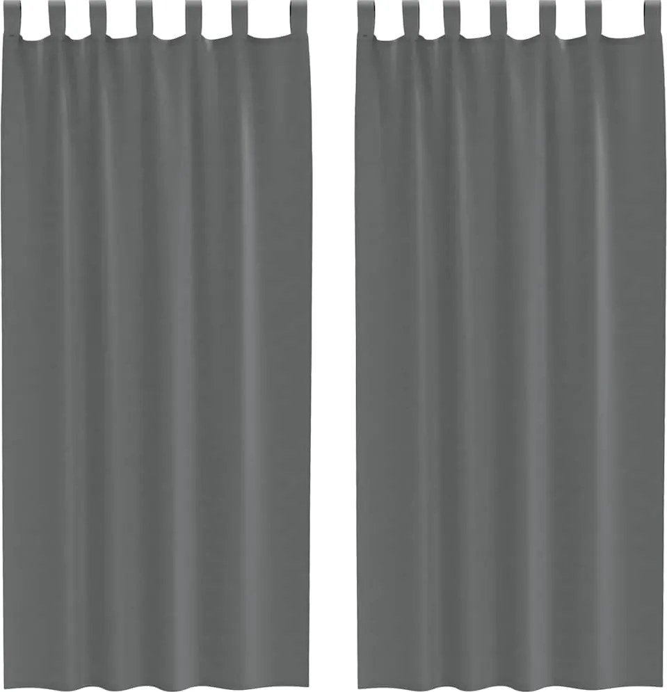 vidaXL 2 db sötétszürke fátyolfüggönyök hurokkal 140x225 cm