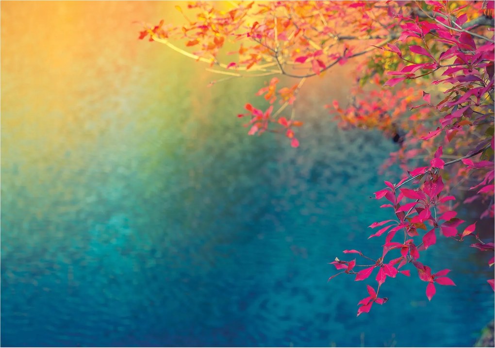 Fotótapéta Őszi levelek a vízben Nyugalom és színharmónia 350x250 +ragasztó