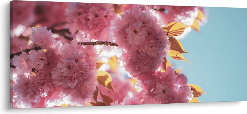 Kép - Cseresznyevirág (120x50 cm)