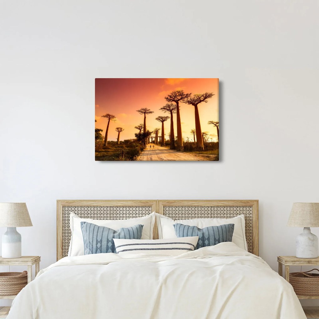 Kép - Naplemente a Baobab Alley-ben (90x60 cm)